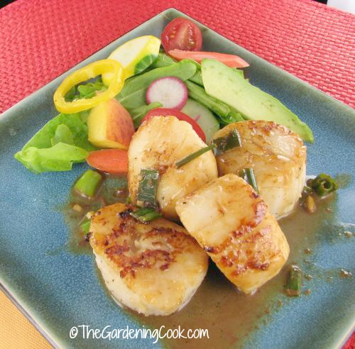 Seared Scallops with White Wine