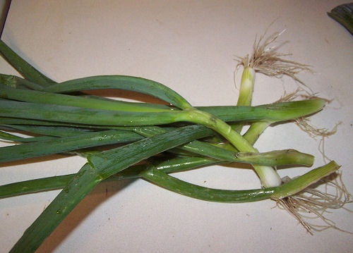 spring onions