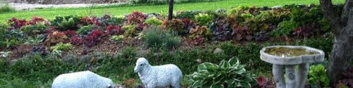 Today’s Garden Tour – Stott Garden – Goshen, Indiana