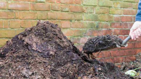 Turning a Compost Pile – Easily and Cheaply