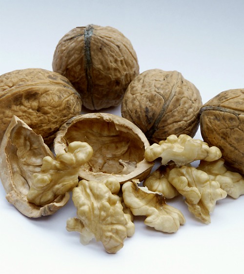 chop walnuts with a potato masher