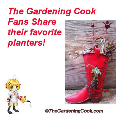 Gardening Cook Fans - favorite planters