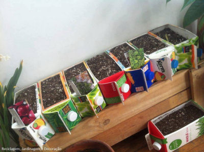 Juice and milk containers recycled into herbs garden