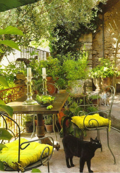 Love the lime green cushions AND the black cat
