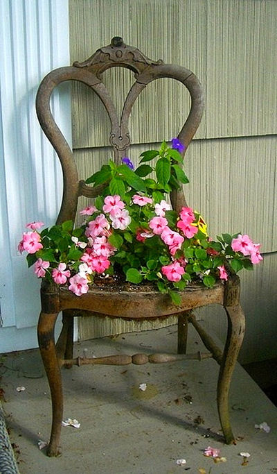 Dining room chair with the seat removed and planted with flowers