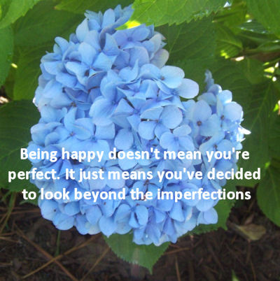 Look beyond imperfections for happiness.