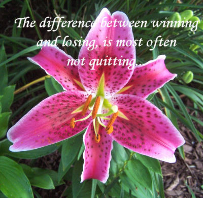 Winning and losing quote
