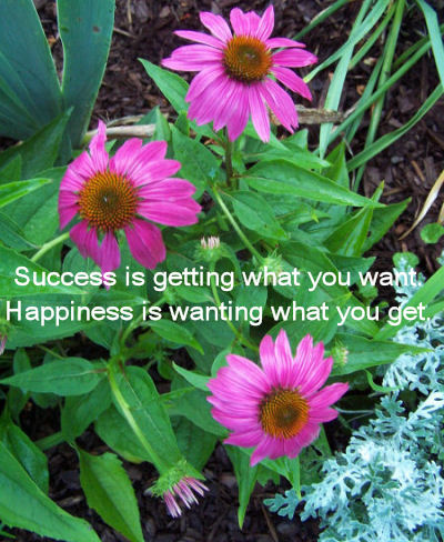 Success vs Happiness
