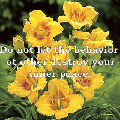Inner Peace Quote