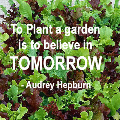 To Plant a Garden is to believe in Tomorrow. - Audrey Hepburn