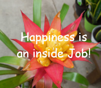 Happines is an inside job quote.