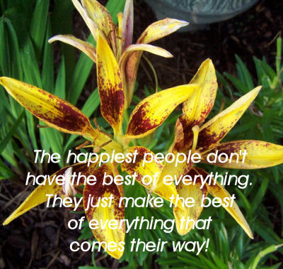 Happiness quote about making the best of what you have.