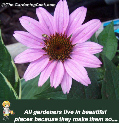 Gardens are beautiful because gardeners make them so.