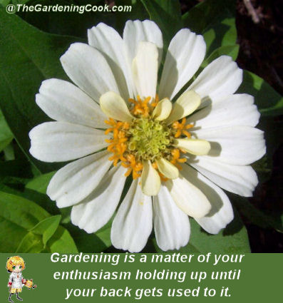 Gardening Quote about stamina