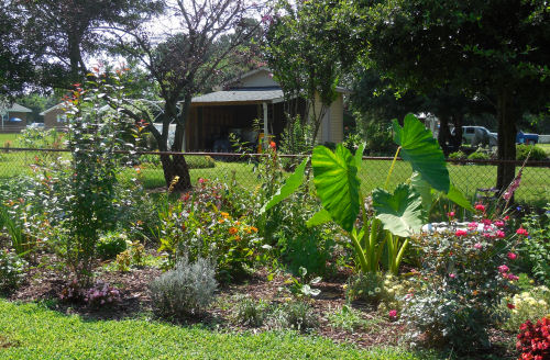 Garden left JUly 2013