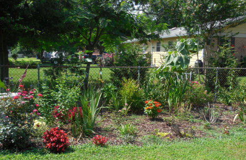 Garden right July 2013