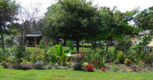 full garden July 2013
