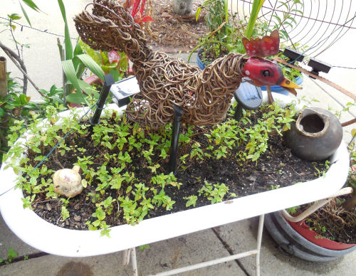 Bathtub planter