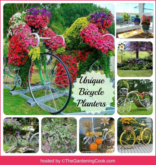 unique bicycle planters There are lots of creative ways to use bicycles in your garden projects. thegardeningcook.com