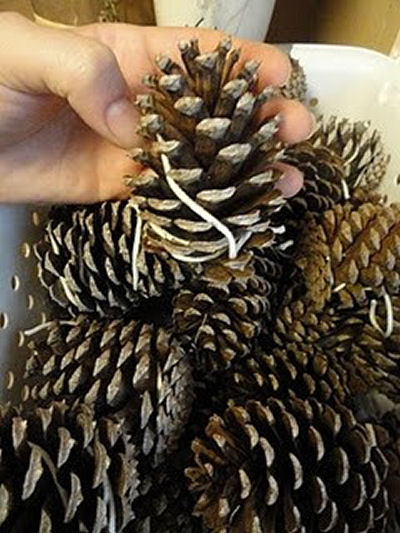 PINE CONE FIRE STARTERS