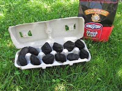 Charcoal in an egg carton. Easy to start your fire with a match!
