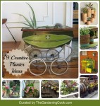 Unique Garden Planters