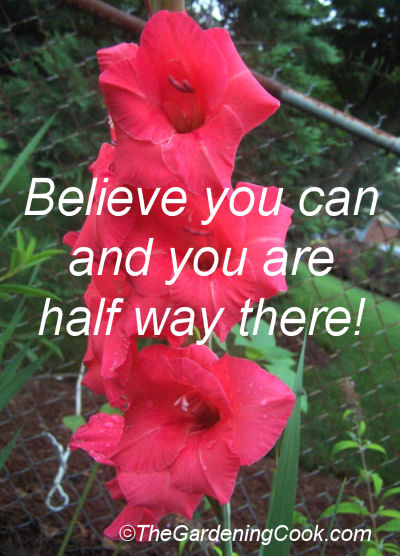 Believe you can and you are half way there
