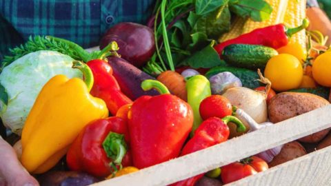 Where do you keep your vegetables when the season ends?