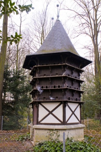 Huge bird house