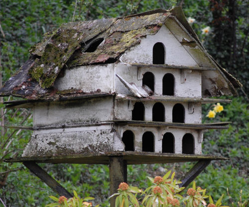 bird house for many birds