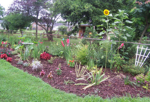 Full garden planted for party
