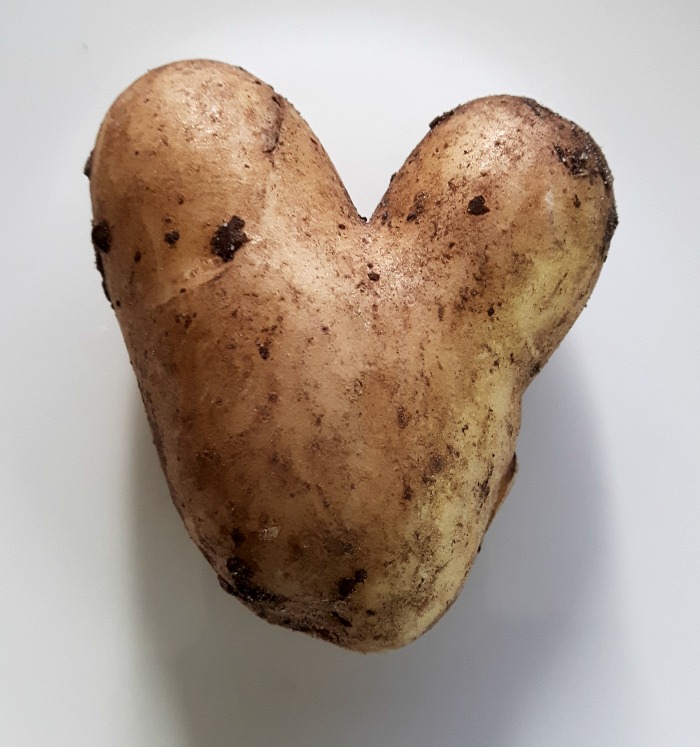 Heart shaped potato Heart shaped potato