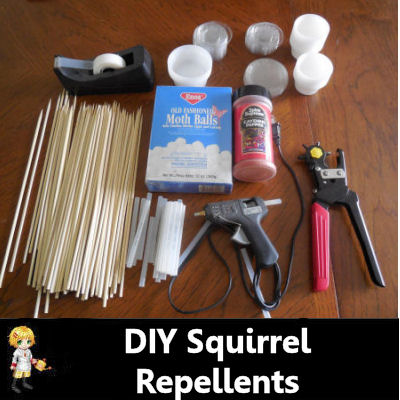 DIY Squrrel Repellents