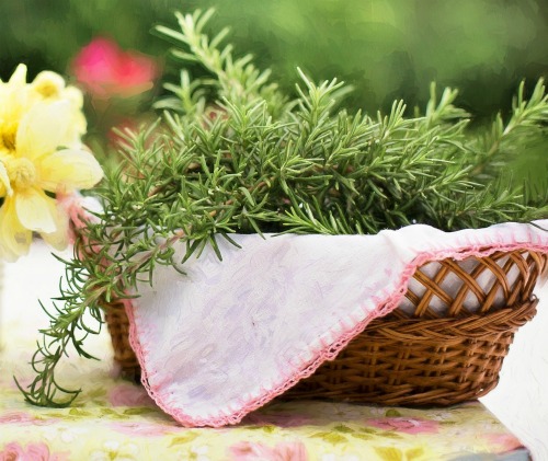 Fresh rosemary