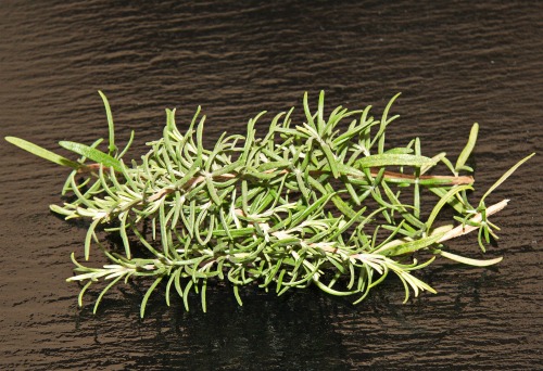 fresh rosemary