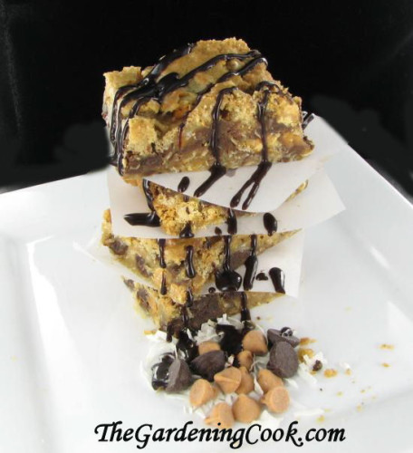 Copy cat Girl Scout Samoas - this time in a declicious bar