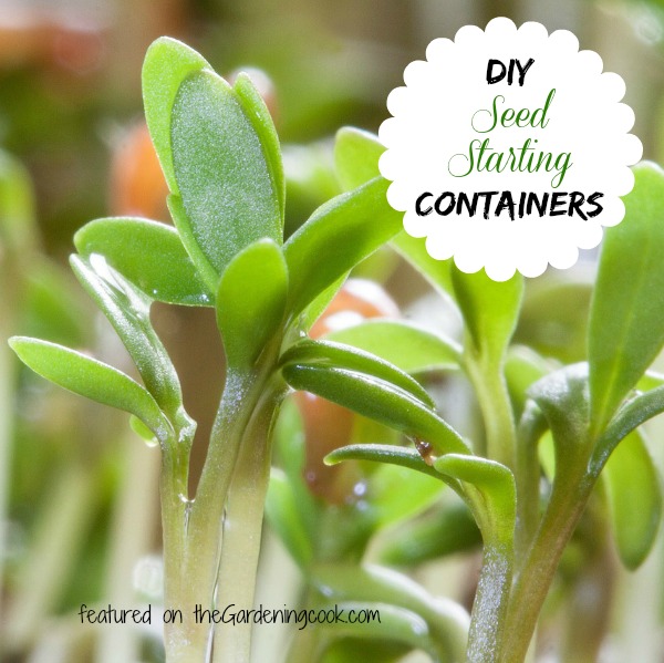 Recycled Items to use as Seed starters
