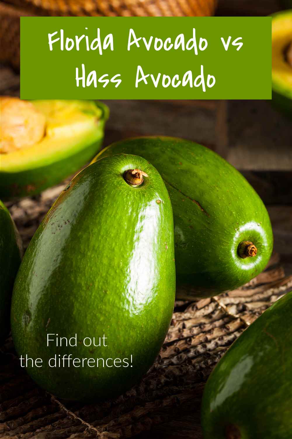 Florida avocados in a basket with words Florida avocado vs Hass avocado. 