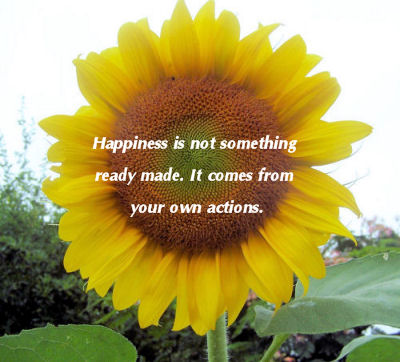 Happiness quote
