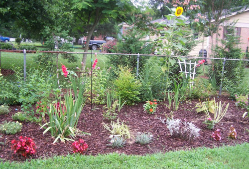 Test garden in July