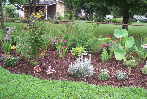 Test garden in July