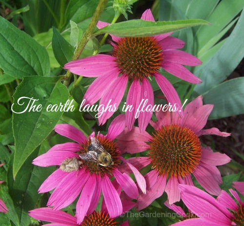 The Earth Laughs in Flowers Inspirational Quote
