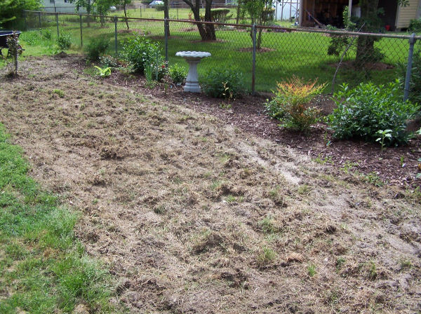 Before planting for party