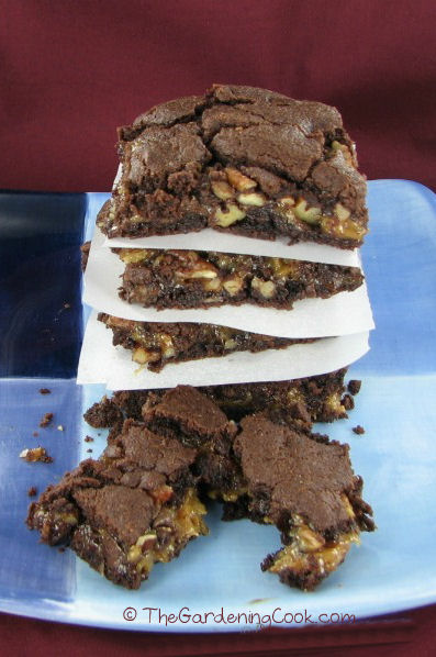 turtle brownies