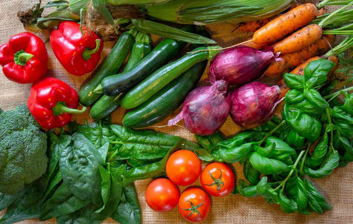 Harvest of fresh vegetables.