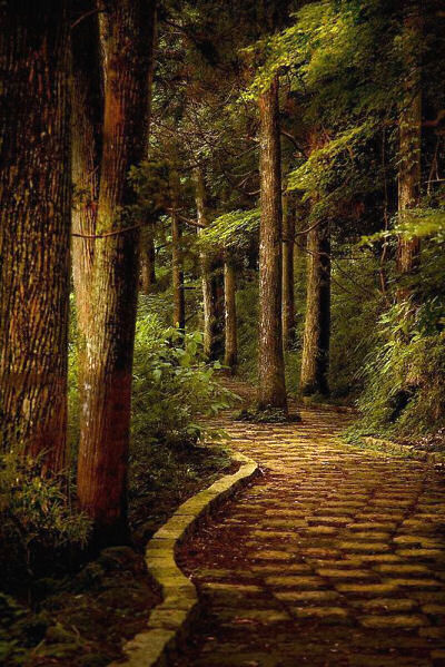 Stone Path, Hakone, Kanagawa, Japan 