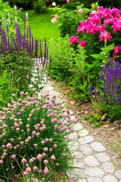 Cottage garden with stone path