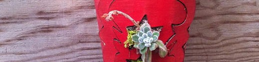 Cowboy Boot Planter for Succulents – Creative Gardening Idea