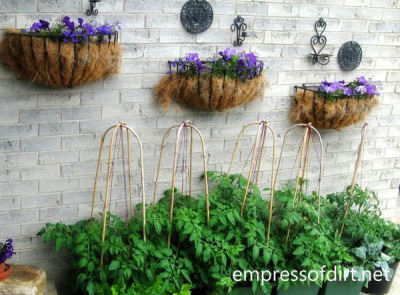 Creatuve wakk planters with wrought iron accents make a great addition to a plain brick wall.