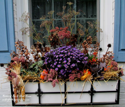 Fall window box welcomes the warm weather